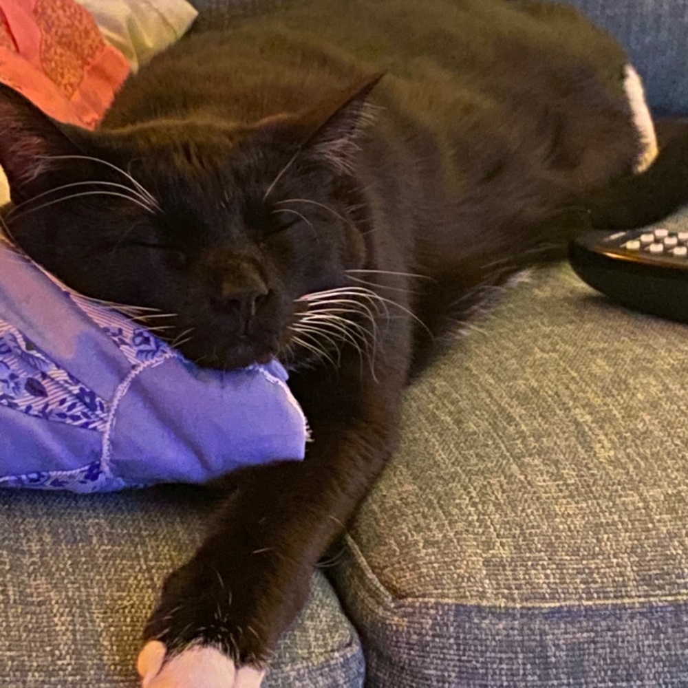 Meet your Posher, Marlon